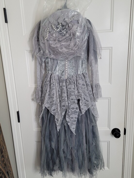 Hallow's Eve Other - NWT Hallow's Eve Ghost Bride Costume Size M 10